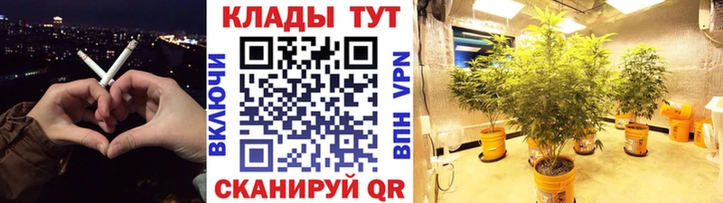 Где продают наркотики Элиста ГАШИШ АМФ COCAIN APVP МЕФ Бошки Шишки