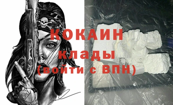 дживик Дмитриев