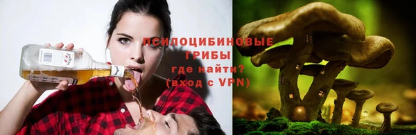 a pvp Елизово