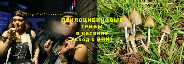 spice Елабуга