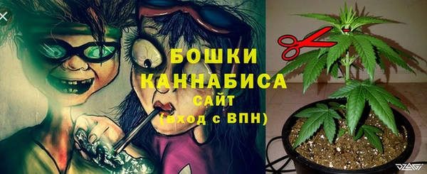 spice Елабуга