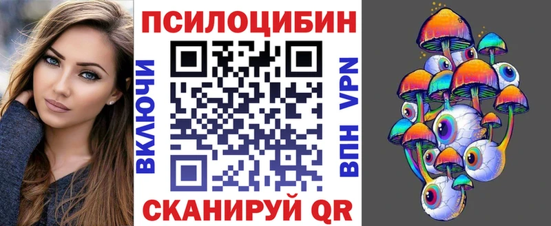 darknet как зайти Элиста Псилоцибиновые грибы Magic Shrooms