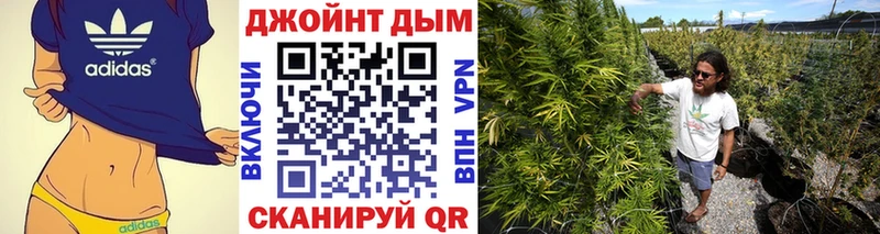 Бошки Шишки MAZAR  что такое наркотик  Элиста 